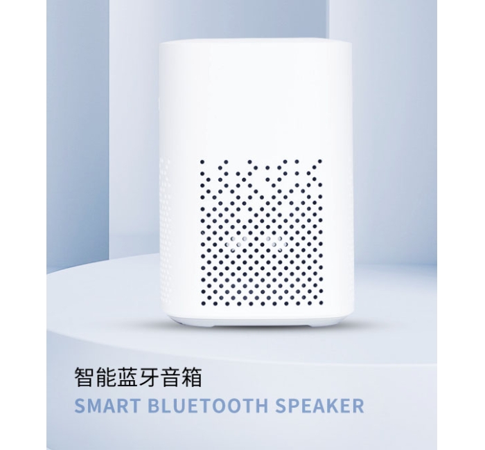 Intelligent speakers
